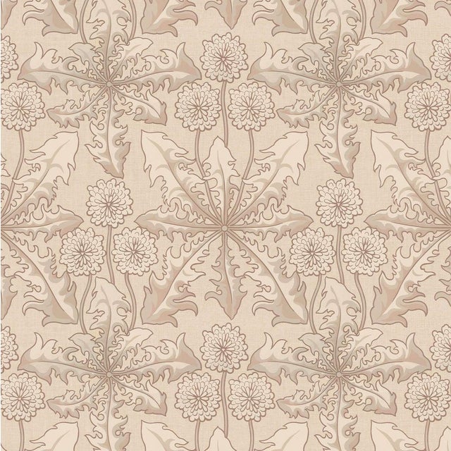 Taraxa Wallpaper - Phlox For Sale