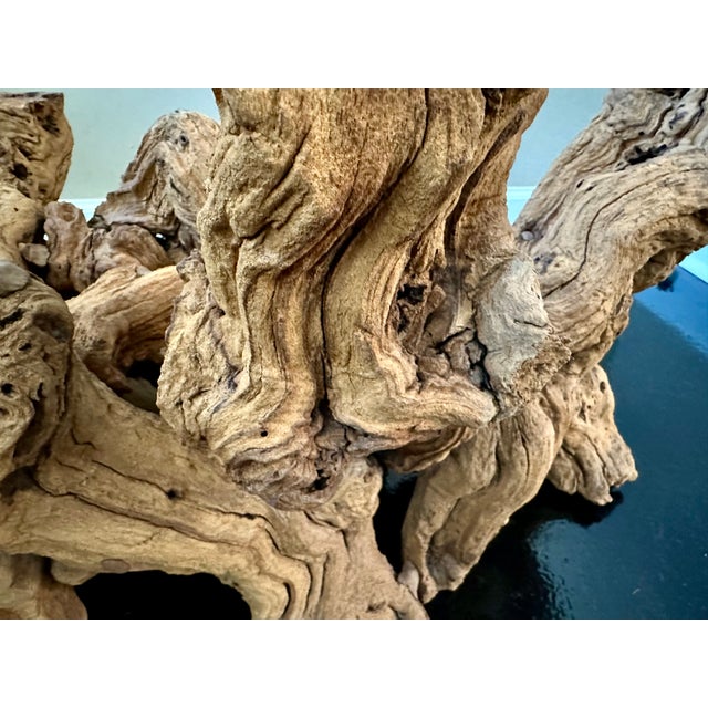 Organic Sculptural Grapevine Root Coffee Table, Studio Craft, Glass Top For Sale - Image 9 of 9