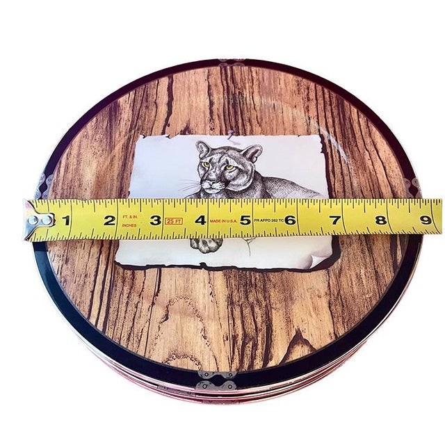 1990s Lynn Chase American Pages Porcelain Plates- Set of 5 For Sale - Image 11 of 12