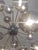 Glass 21st Century Nova Polished Nickel Smoky Murano Sputnik Chandelier by Fabio LTD For Sale - Image 7 of 7
