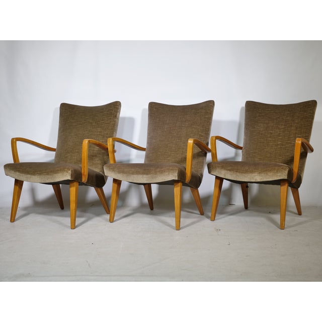 Brown Mid-Century Modern Lounge Chairs with Velour Fabric, 1960s, Set of 3 For Sale - Image 8 of 11