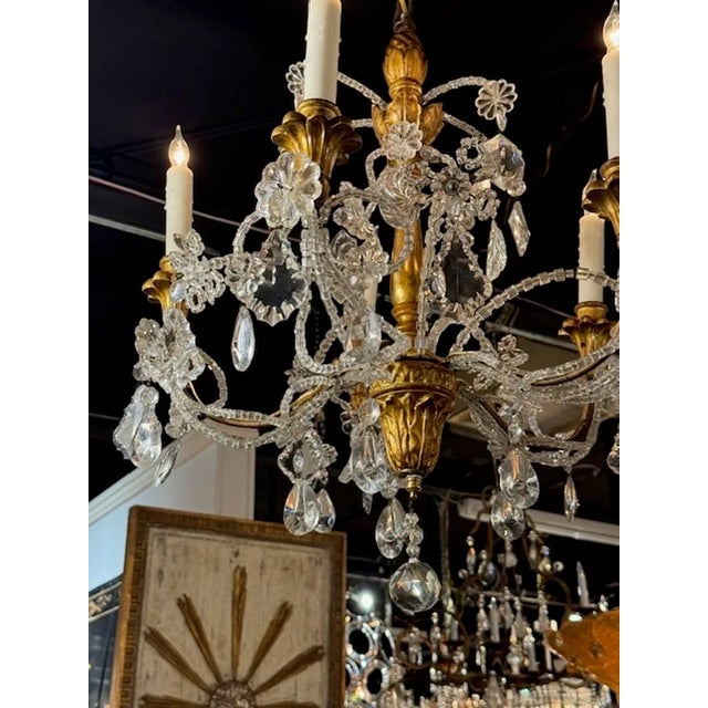 Traditional Italian Giltwood Chandelier From Genoa For Sale - Image 3 of 8