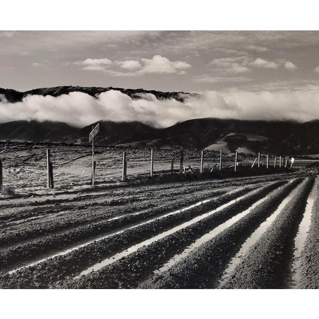 Evan Deutsch - Monterey Field - Original Photograph For Sale - Image 4 of 7