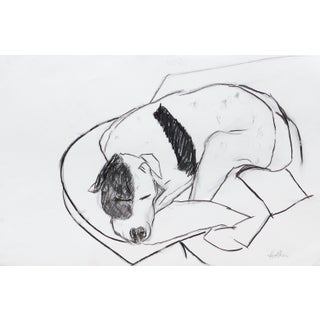 "Terrier Dog Asleep" Contemporary Modern Drawing by Martha Holden For Sale