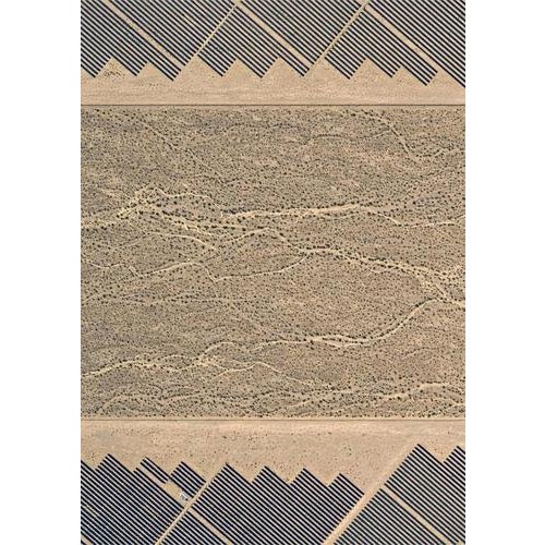 Black Bernhard Lang, AV_Solar_Plants_008, Fine Art Photograph Print For Sale - Image 8 of 8