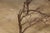 Midcentury French Iron Twig Coffee Table Base with Cross Stretcher For Sale - Image 12 of 12
