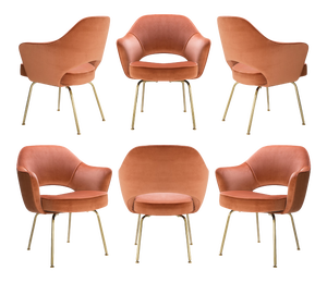 Original Saarinen Executive Arm Chairs in Rust Velvet, Custom Gold Edition - Set of 6