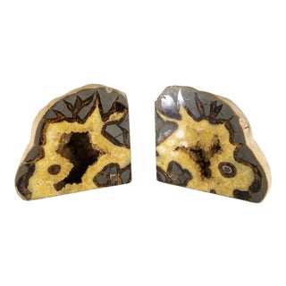 Septarian Nodule Stone Specimen Crystal Bookends - a Pair For Sale