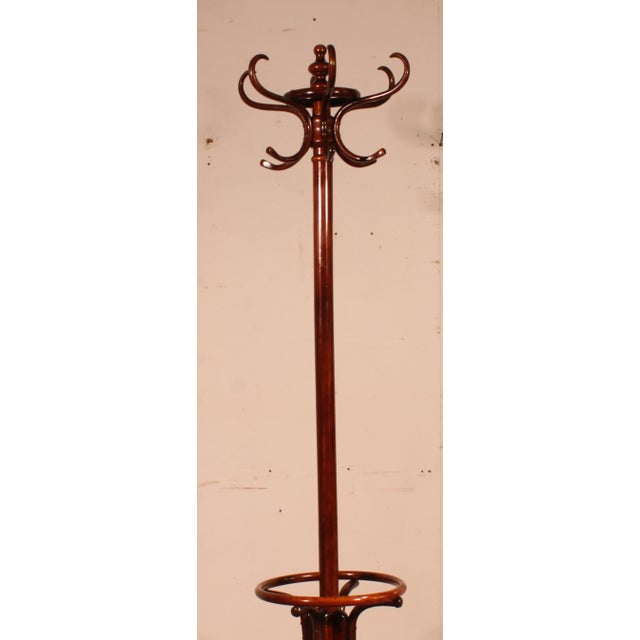 Art Nouveau Parrot Coat Rack, 1920s For Sale - Image 3 of 9