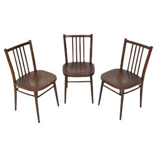Mid-Century Chairs from TON, 1960s, Set of 3 For Sale