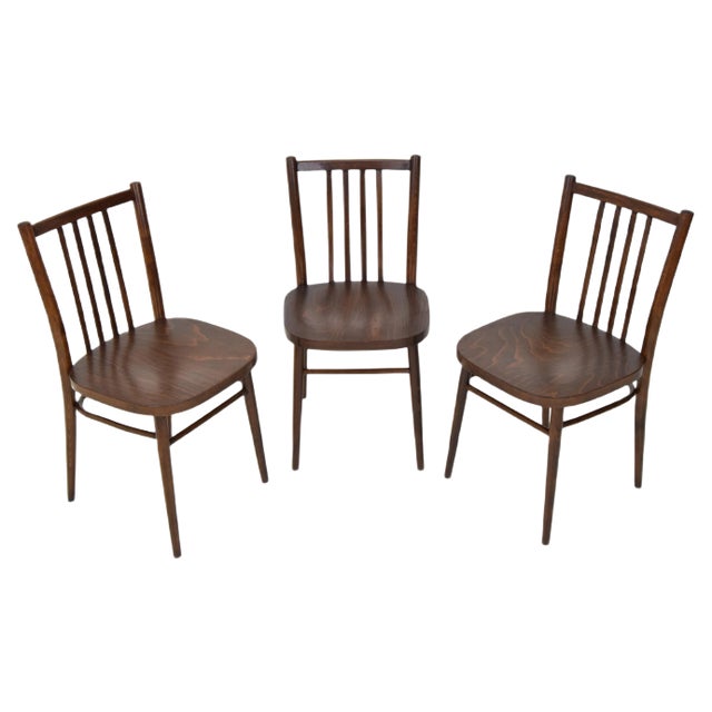 Mid-Century Chairs from TON, 1960s, Set of 3 For Sale