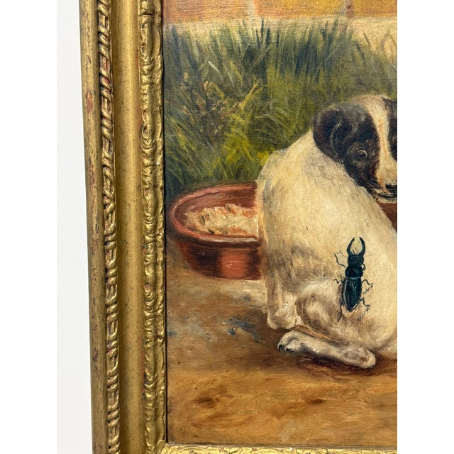 F. M. Bailey, Whimsical Dog Portrait With Beetle, 1906 For Sale - Image 9 of 10