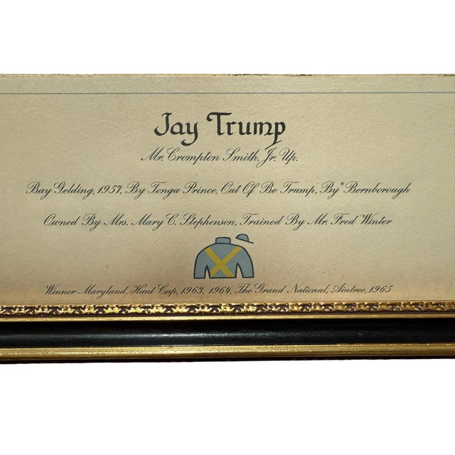 Mid 20th Century Framed Print of Racehorse Jay Trump by Richard Stone Reeves For Sale In Boston - Image 6 of 12