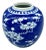 Antique Chinese Blue & White Prunus Ginger Jar – Qing Dynasty, 19th C For Sale