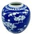 Antique Chinese Blue & White Prunus Ginger Jar – Qing Dynasty, 19th Century For Sale