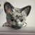 This product is a cute mottled green ceramic cat figurine, perfect for cat lovers or collectors of animal figurines. The...