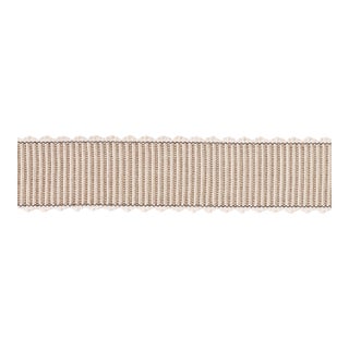 Schumacher Obi Tape In Slate For Sale