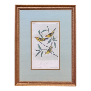 Mid-19th Century Audubon “Louisiana Tanager” Hand-Colored Octavo Lithograph For Sale