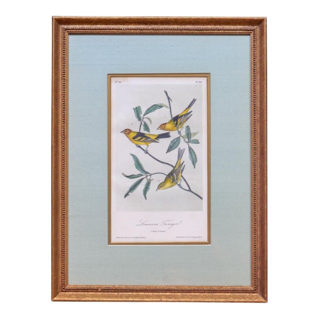 Mid-19th Century Audubon “Louisiana Tanager” Hand-Colored Octavo Lithograph For Sale