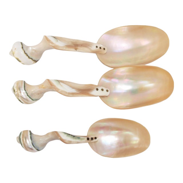 Set of 3 Large Turbo Marmoratus Shell Serving Spoons For Sale