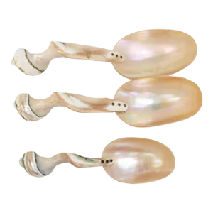 Set of 3 Large Turbo Marmoratus Shell Serving Spoons