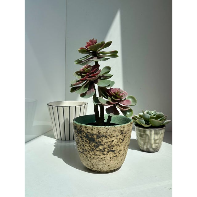 Mid-Century Brutalist Studio Ceramic Planter from the Birch Bark Series Berkenbast by Pieter Groeneveldt, Netherlands, 1960s For Sale - Image 14 of 15