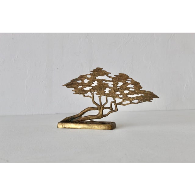 Mid-Century Modern Bijan Style Brass Bonsai Tree Tabletop Sculpture Vintage Mid-Century For Sale - Image 3 of 17
