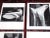 This set of nine (9) modernist surreal photogravures by the famed modernist photographer Andre Kertesz (Hungary/Paris/New...