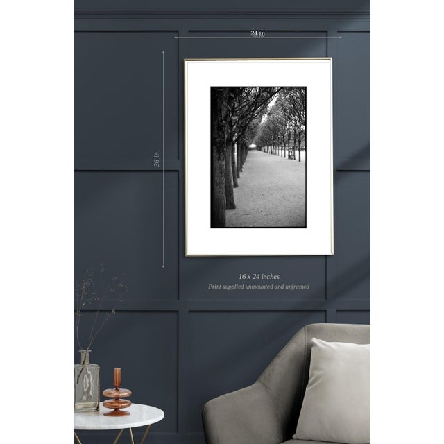 Not Yet Made - Made To Order Paul Cooklin, Royal Palace Garden, Edition of 50 For Sale - Image 5 of 7