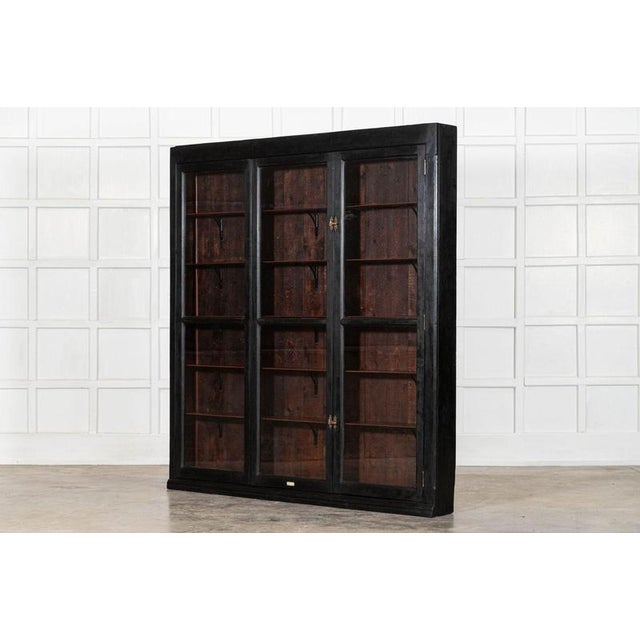 Large Antique English Ebonised Mahogany Pharmacy Display Cabinet, 1880 For Sale - Image 6 of 13
