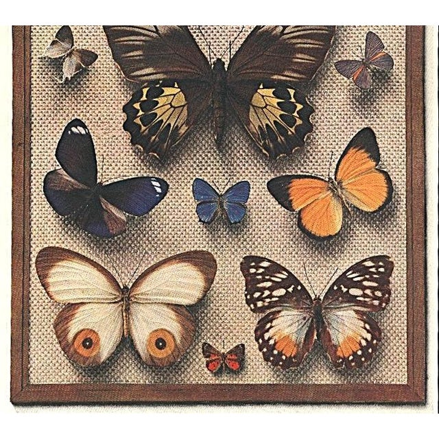 Paper 1934 Set of 2 Vintage French Butterfly Prints, Matted For Sale - Image 7 of 7