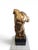 Italian Artist, Gilt Bronze Male Torso on Black Marble Base, 1950s, Bronze For Sale - Image 4 of 13