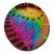 Vintage Fiala Design Works Hand Painted Abstract Art Glass Plate For Sale