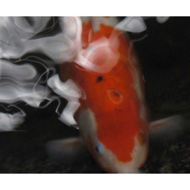 Contemporary "Koi I" 18"" X 24" Contemporary Color Photograph With Black Frame by Dorothy Solomon For Sale - Image 3 of 4