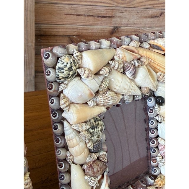 Ivory Pair of Vintage Coastal Shell Encrusted Picture Frames For Sale - Image 8 of 12