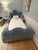 Elora Arched Upholstered Twin Bed with matching Twin Trundle in Eucalyptus Performance Velvet. Excellent condition....