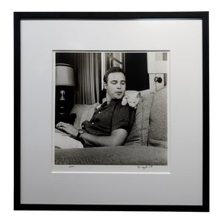Marlon Brando & His White Cat 1954 Signed Photograph by Murray Garrett For Sale
