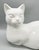 Ceramic Vintage Dutch Glossy White Ceramic Cat Sculpture — Reclining Feline — Scandinavian Modern / Cottagecore For Sale - Image 7 of 10