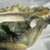 Vintage Kaldun & Bogle Majolica-Style Cabbage Ceramic Tureen For Sale - Image 10 of 10