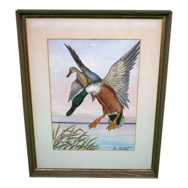 Mid 20th Century "2 Ducks in Flight", Watercolour by Jean Herblet Ex- c.z. Guest Collection For Sale
