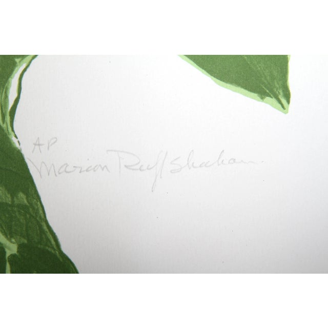 Artist: Marion Sheehan, American Title: Balsa Tree Year: 1979 Medium: Lithograph, signed and numbered in pencil Edition:...