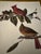 A classic ornithological print featuring the Northern Cardinal, rendered in the timeless Audubon style. Known for its rich...
