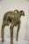 Vintage African Bronze Ram For Sale - Image 9 of 12