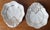 Ceramic French Porcelain Shell-Form Relish/Soap Dishes-a Pair For Sale - Image 7 of 9