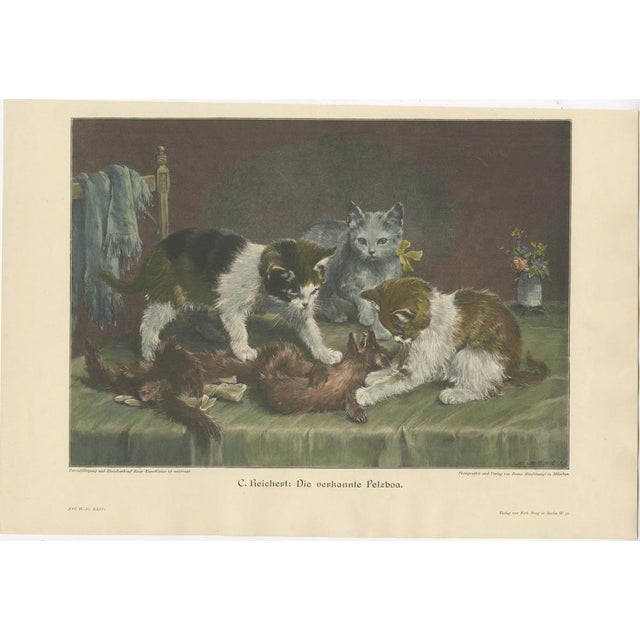 Set of six original antique cat prints made after paintings by c. Reichert, j. Adam, b. Cobbe, f. Birkinger, j. Le roy and...