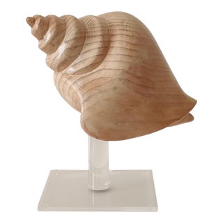 Sarreid Ltd. Large Carved Wood Seashell Mounted on Lucite Stand, 1980s For Sale