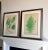 Set of Two 19th Century English Victorian Nature Printed Ferns in Custom Gilt Carved Wood Frames For Sale - Image 4 of 12