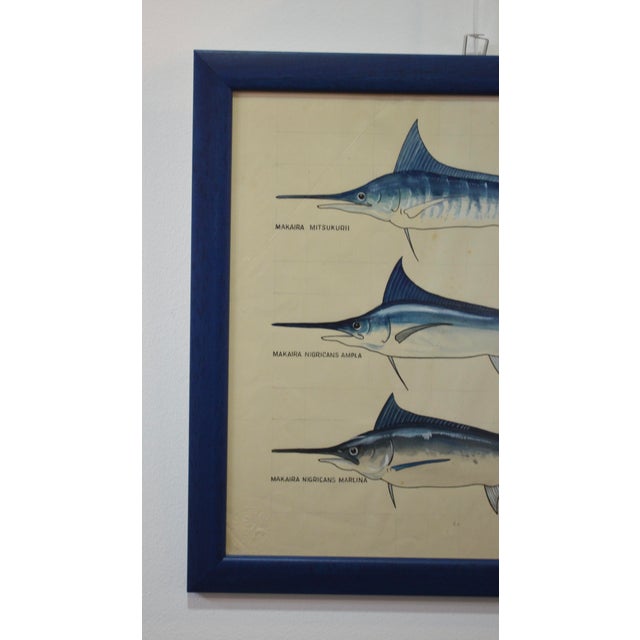 1970s After Walter Stackpool, Marlin, 1970s, Gouache on Paper, Framed For Sale - Image 5 of 9