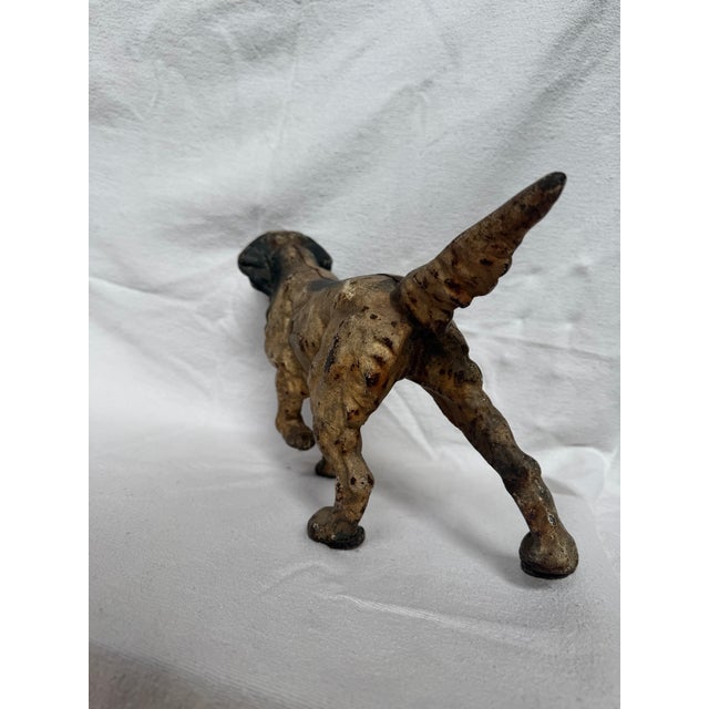 Posing English Setter Ready for the Hunt For Sale - Image 11 of 12