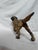 Posing English Setter Ready for the Hunt For Sale - Image 11 of 12